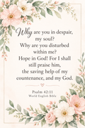 Hope for the Grieving Heart Scripture Cards